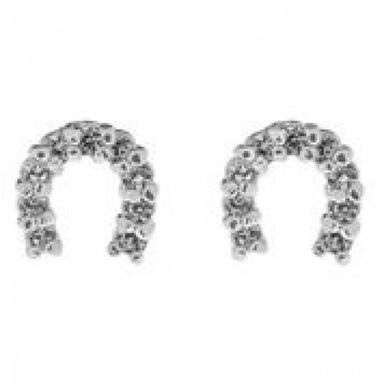 Indulgence horseshoe crystal Earrings