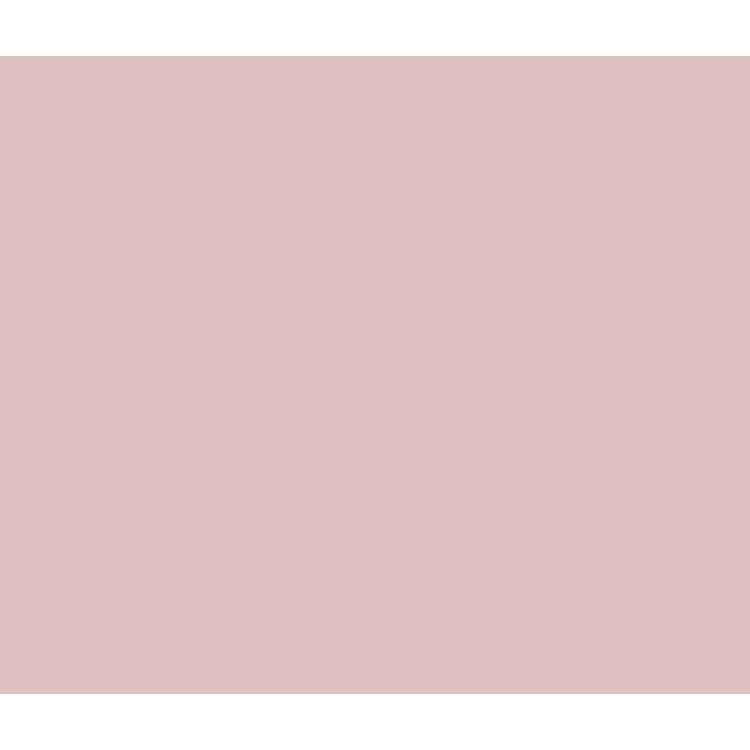 Fransa  lotus pink broderie anglaise top