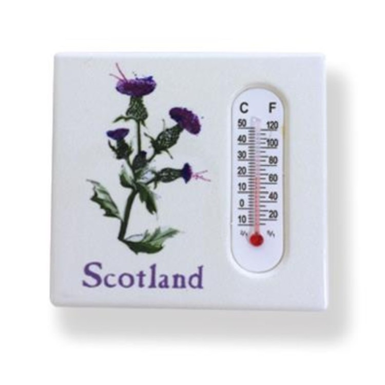 Scotland thistle fridge magnet with thermometer